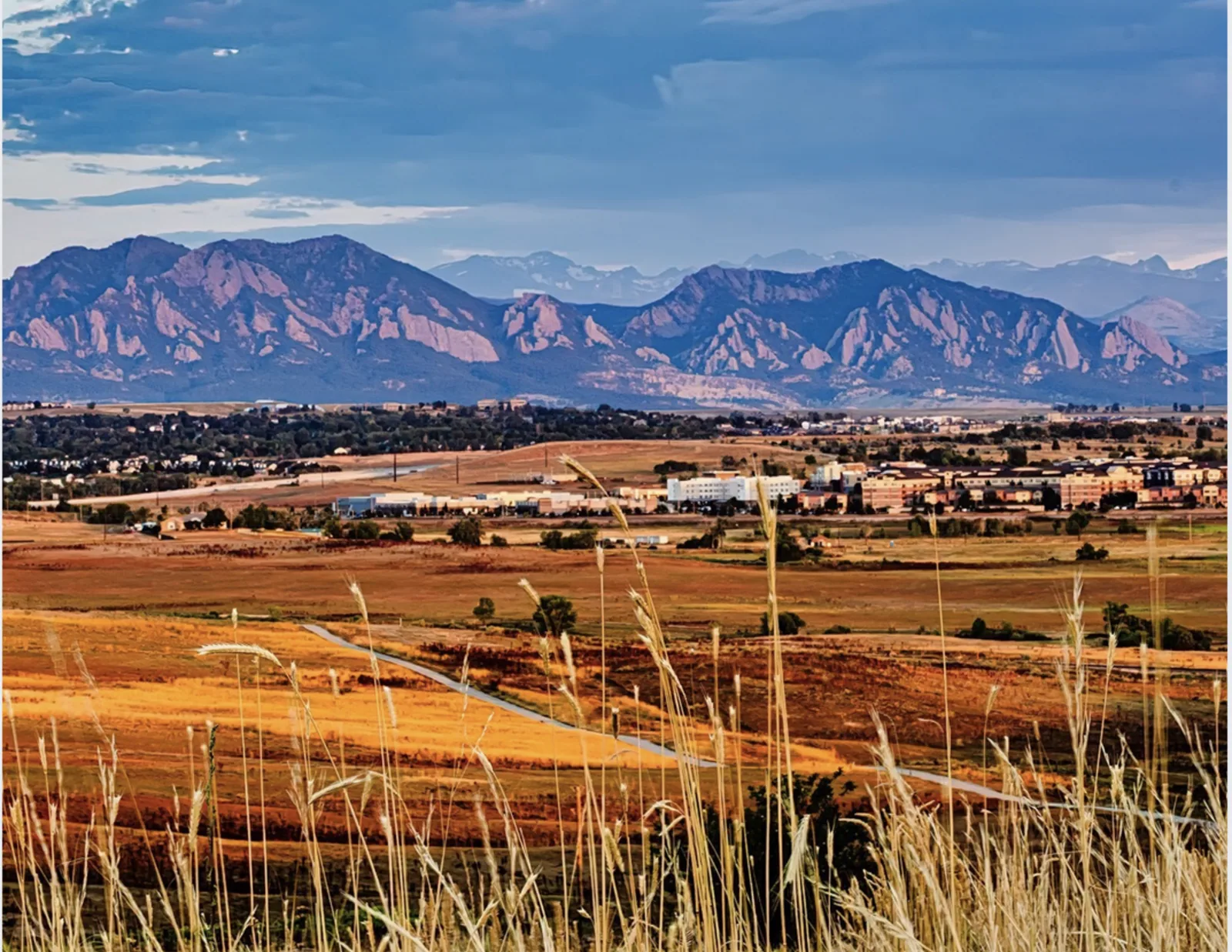 Commercial Roofing in Circle Point, Westminster, CO